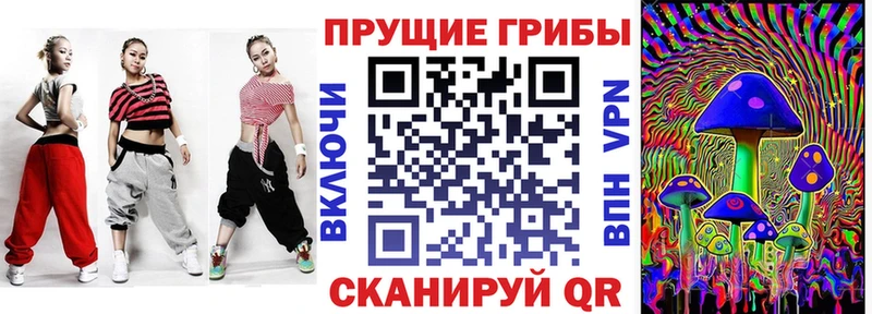 Псилоцибиновые грибы мицелий  купить   Кочубеевское 